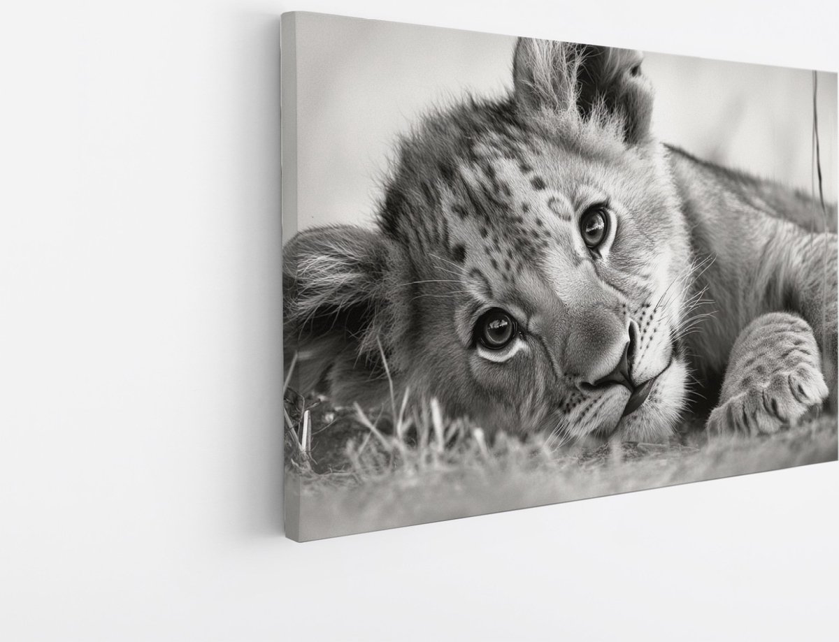 Saammp Canvas Schilderij - Leeuwen Welp in het gras- Dieren - Natuur - 90x60 - Foto op canvas - Wanddecoratie - Muurdecoratie Woonkamer - Slaapkamer decoratie - Canvas Print Multicolor