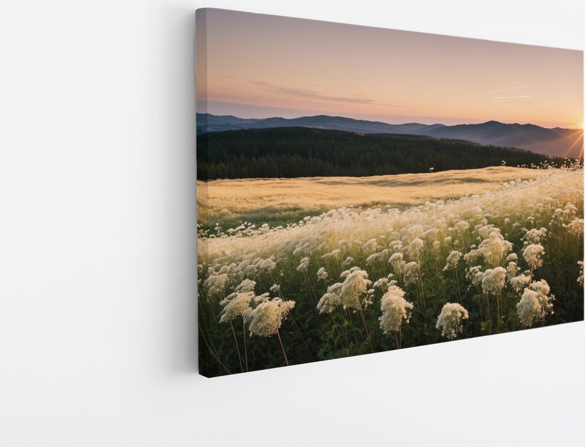 Saammp Canvas Schilderij - Landschap - Wit - Bloemenveld met zonsondergang en bergen - Natuur - 120x80 - Foto op canvas - Wanddecoratie - Muurdecoratie Woonkamer - Slaapkamer decoratie - Canvas Print Multicolor