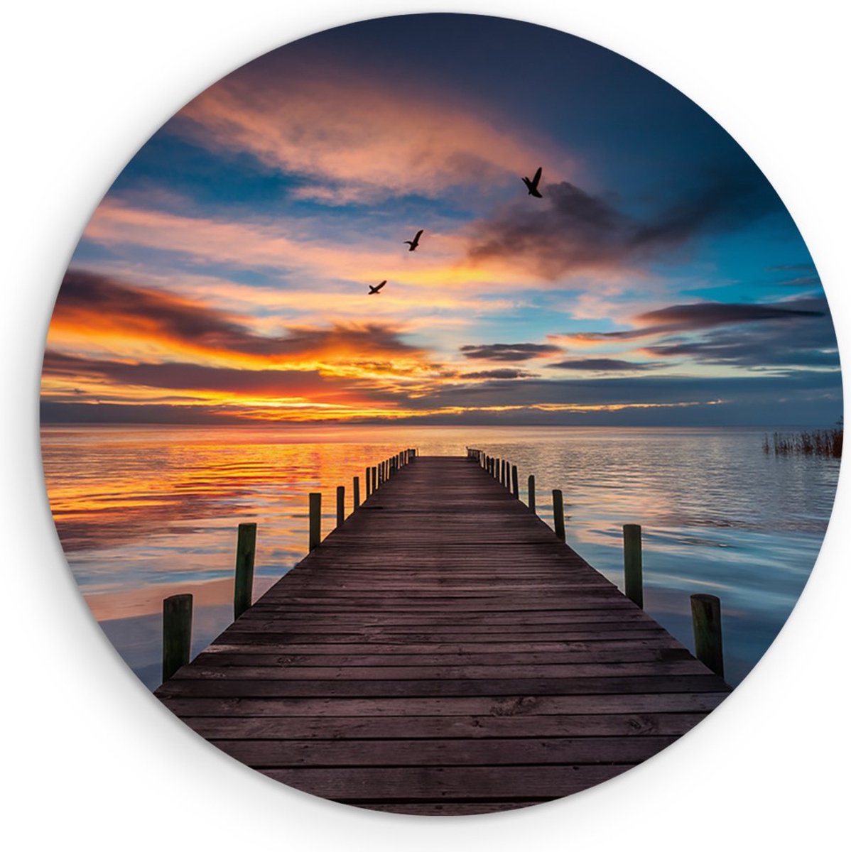 Saammp Forex Muurcirkel - Steiger bij zonsondergang - landschap - Natuur - Ø 50 - Wandcirkel - Wanddecoratie Cirkel - Muurdecoratie Woonkamer - Slaapkamer decoratie - Rond Schilderij