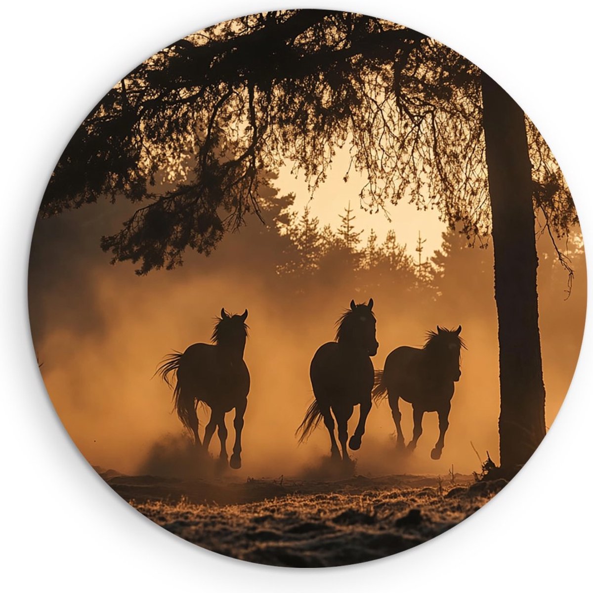 Saammp Forex Muurcirkel - Stofwolken door rennende Paarden - Natuur - Dieren - Ø 60 - Wandcirkel - Wanddecoratie Cirkel - Muurdecoratie Woonkamer - Slaapkamer decoratie - Rond Schilderij
