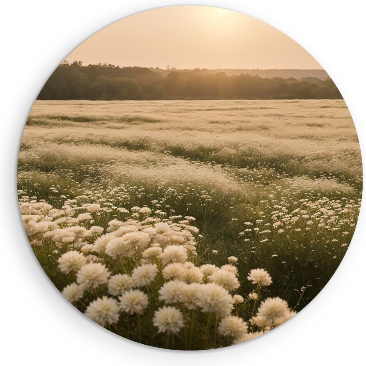Saammp Muurcirkel Hout - Landschap - Wit - Bloemenveld - Natuur - Ø 70 - Wandcirkel - Wanddecoratie Cirkel - Muurdecoratie Woonkamer - Slaapkamer decoratie - Rond Schilderij