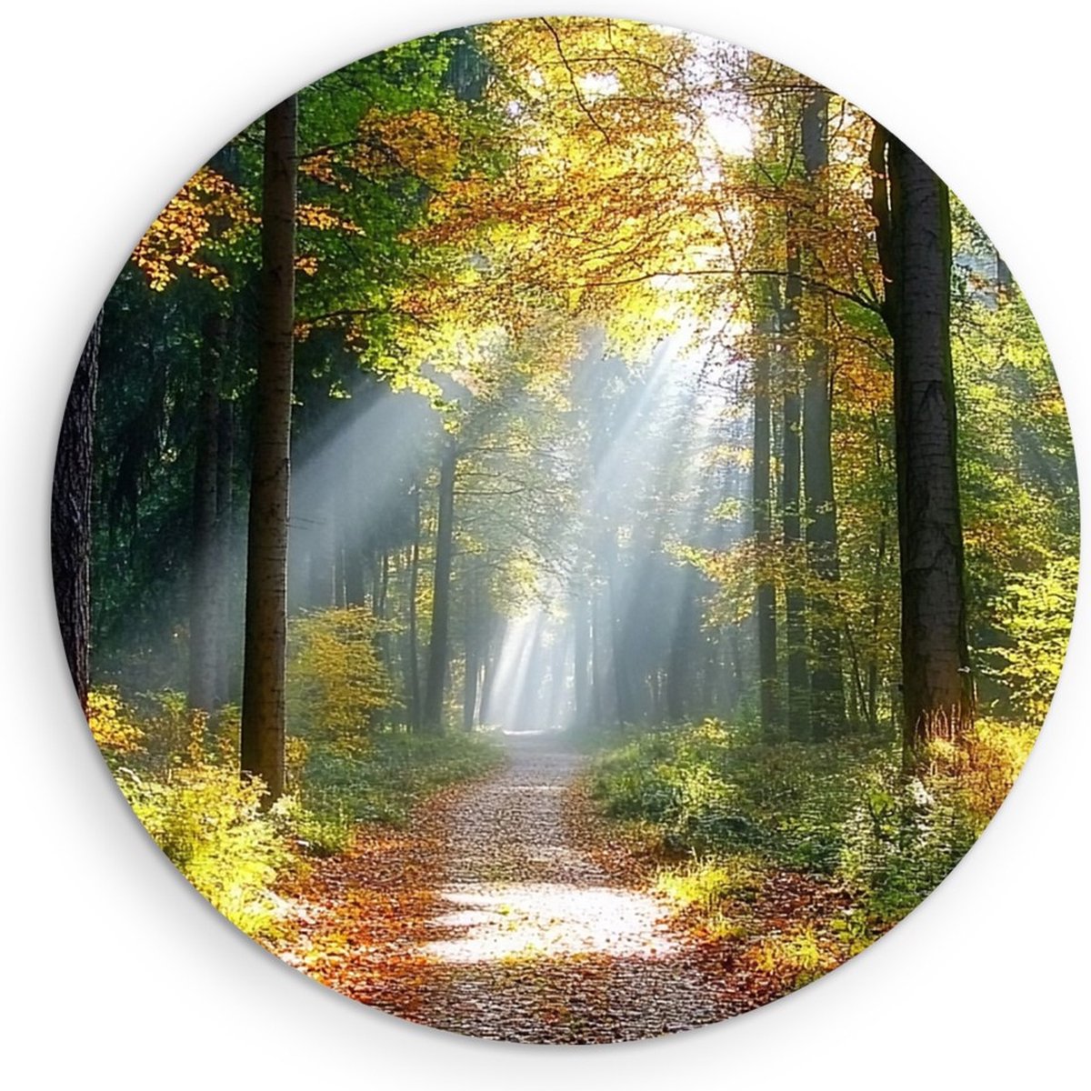 Saammp Muurcirkel Hout - Botanisch - Bospad - Herfstachtig - Landschap - Natuur - Ø 30 - Wandcirkel - Wanddecoratie Cirkel - Muurdecoratie Woonkamer - Slaapkamer decoratie - Rond Schilderij
