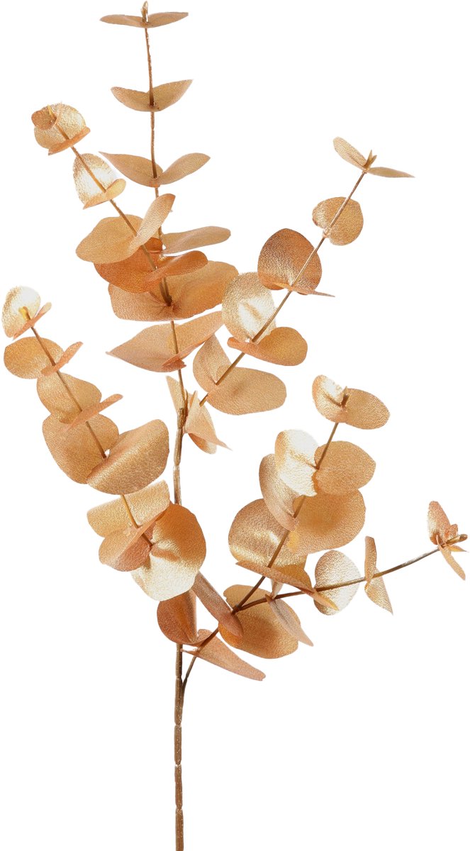 Viv! Home Luxuries Eucalyptus - zijden bloem - goud — cadeau in Wonen & Interieur - foto 2