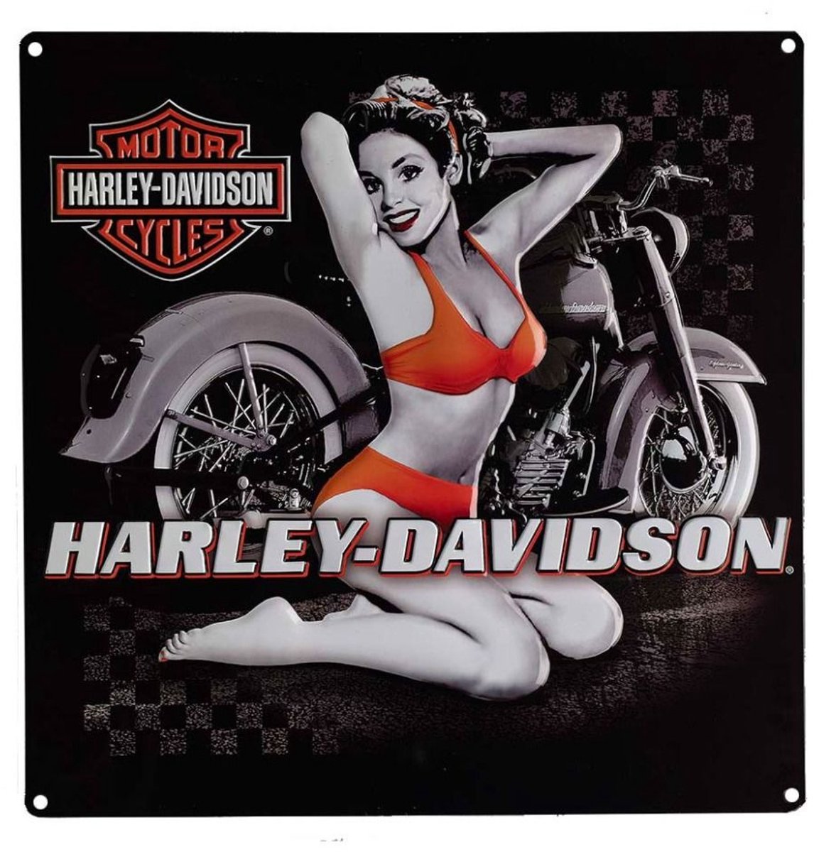 Harley-Davidson Flash Back Babe Metalen Bord Multicolor