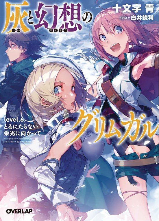 Grimgar of Fantasy and Ash Light Novel Vol. 6 - cover