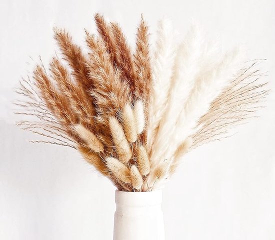 185 stuks natuurlijk gedroogd pampasgras decor, hoge pompas, bloemige