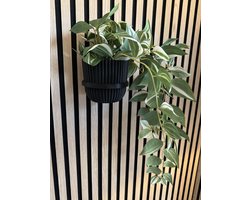 Plantenring V2 voor akoestisch wandpaneel - Groot -Akupanel - akoestische panelen - Akoestisch paneel - 1 stuk - Ring voor Lattenwand - Boren niet nodig - Past op ieder paneel