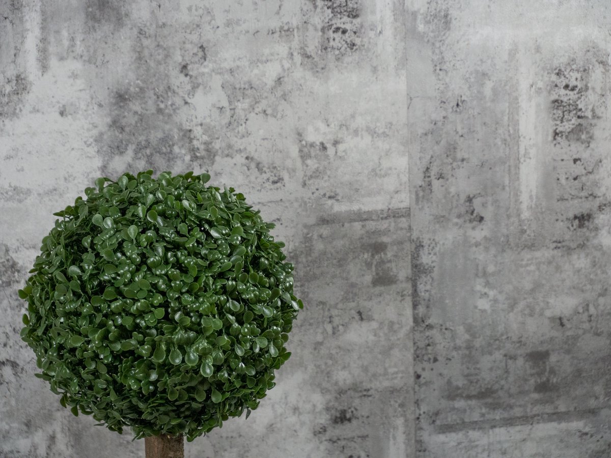 Louis Maes Kunstplant - Varen Nephrolepis - Groen - 50 cm | Fun en Feest