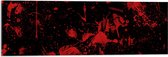 Acrylglas - Rode Verfspetters en Vlekken op Zwarte Muur - 90x30 cm Foto op Acrylglas (Met Ophangsysteem)