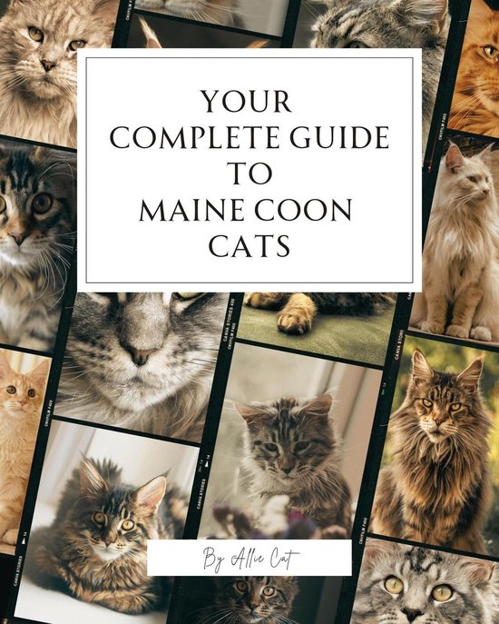 Your Complete Guide to... Your Complete Guide To Maine Coon Cats(02)