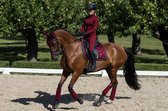 Equestrian Stockholm Zadeldek Dark Bordeaux Donkerrood - dressuur Paard