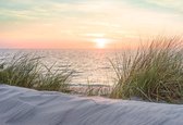 Papier peint Coucher de soleil sur la plage des dunes de sable côtières | V8 - 368 cm x 254 cm | Polaire 130gr / m2