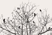 Fotobehang - Vlies Behang - Boom met Vogels - 208 x 146 cm