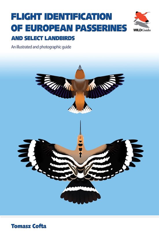 Foto: Wildguides74 flight identification of european passerines and select landbirds