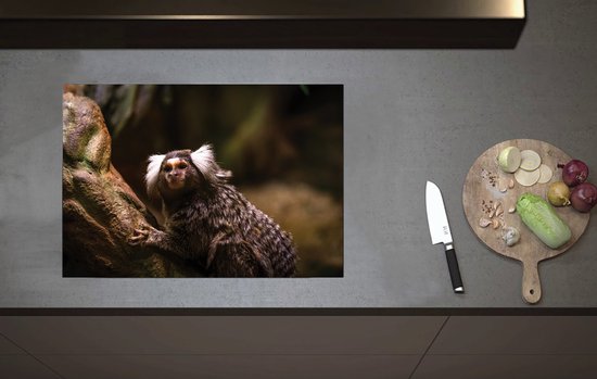 Inductieplaat Beschermer - Omhoogkijkende Marmoset Aap op Rots - 70x52 ...