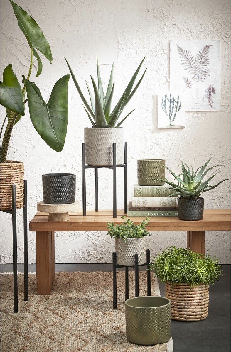 AKOLAFE 10 stuks onderzetter bloempot zwart 30 cm plantenstandaard potonderzetter planten bloempot rooster potplantenstandaard afvoerstandaard planten van kunststof voor binnen en buiten (rond