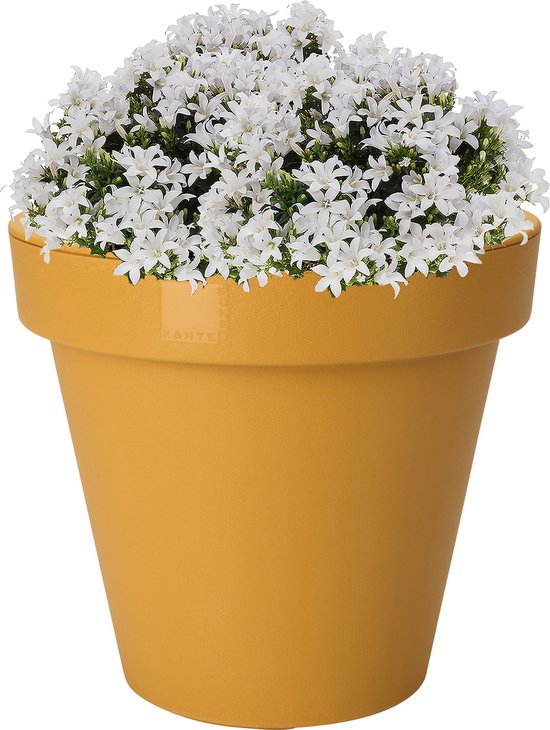 Cache-pot Vannerie Ø 30 cm Grand Modèle : Cache pots AUTRES MARQUES maison  - botanic®