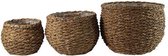 Rotan Bloemenmanden - Set van 3 stuks