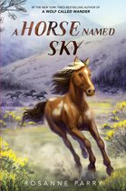 A Voice of the Wilderness Novel-A Horse Named Sky