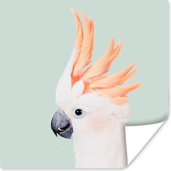 Poster Cacatoès - Animaux - Nature - Wit - 30x30 cm
