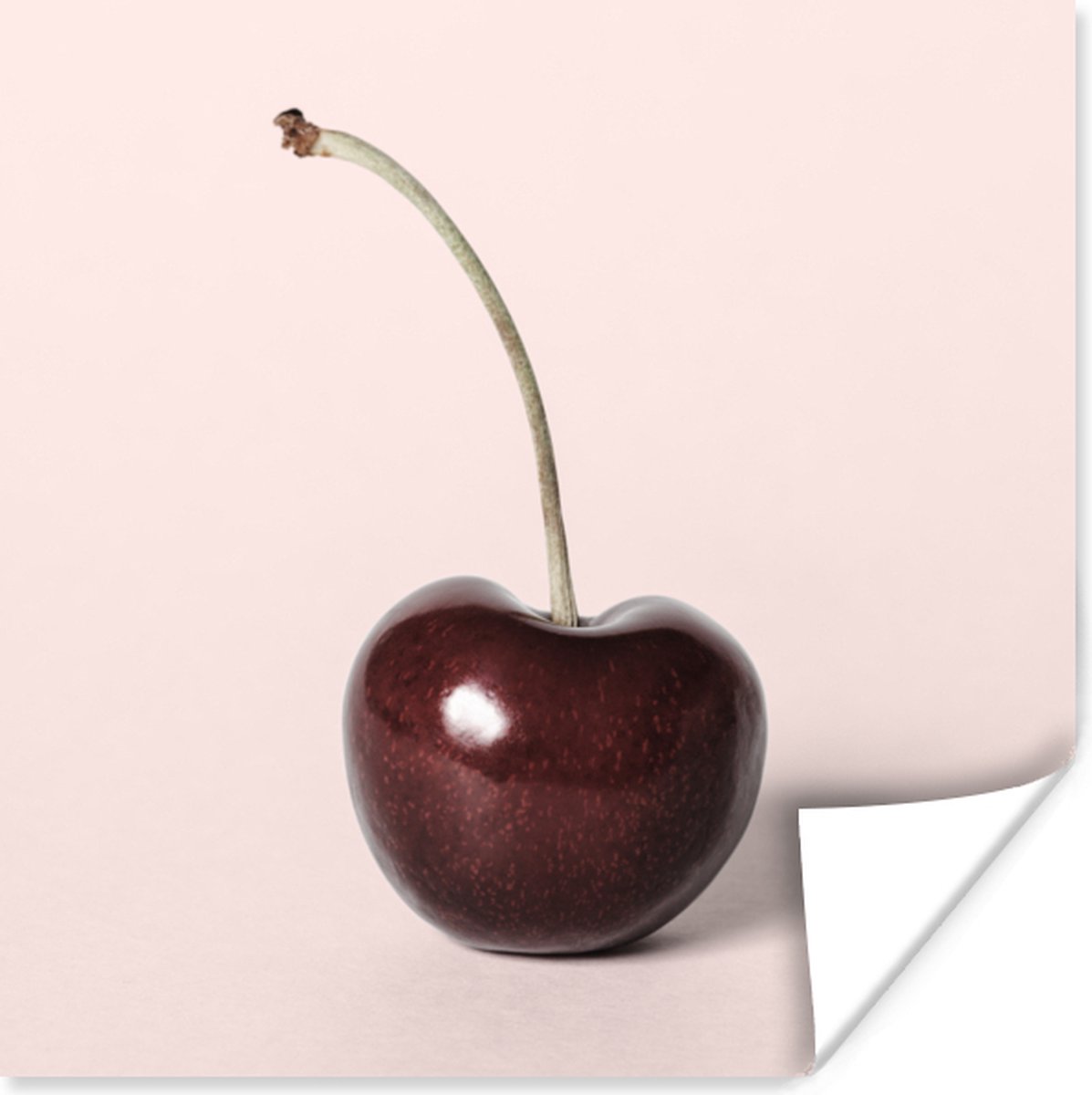 Poster Kers - Fruit - Rood - Stilleven - 75x75 cm