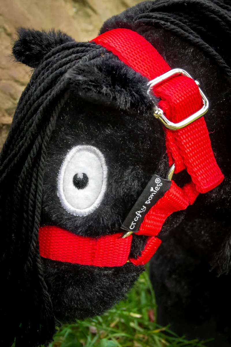 Crafty Ponies Halster Rood