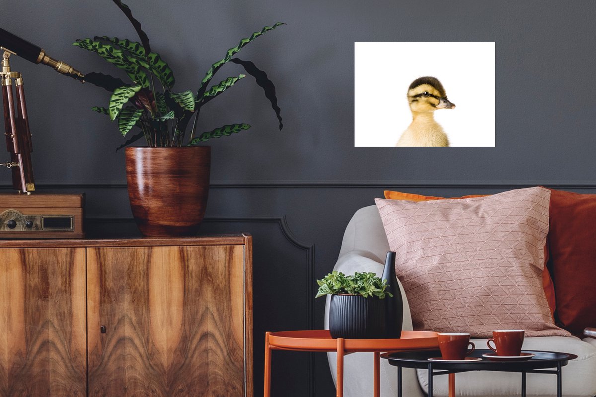 Poster Eend - Geel - Dieren - Natuur - 40x30 cm