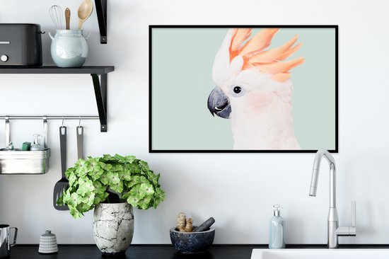 Cadre photo avec poster - Cacatoès - Animaux - Nature - Wit - 60x40 cm - Cadre poster