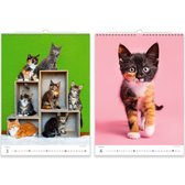 C180-25 Cat Kalender 2025 + gratis 2024 kalender