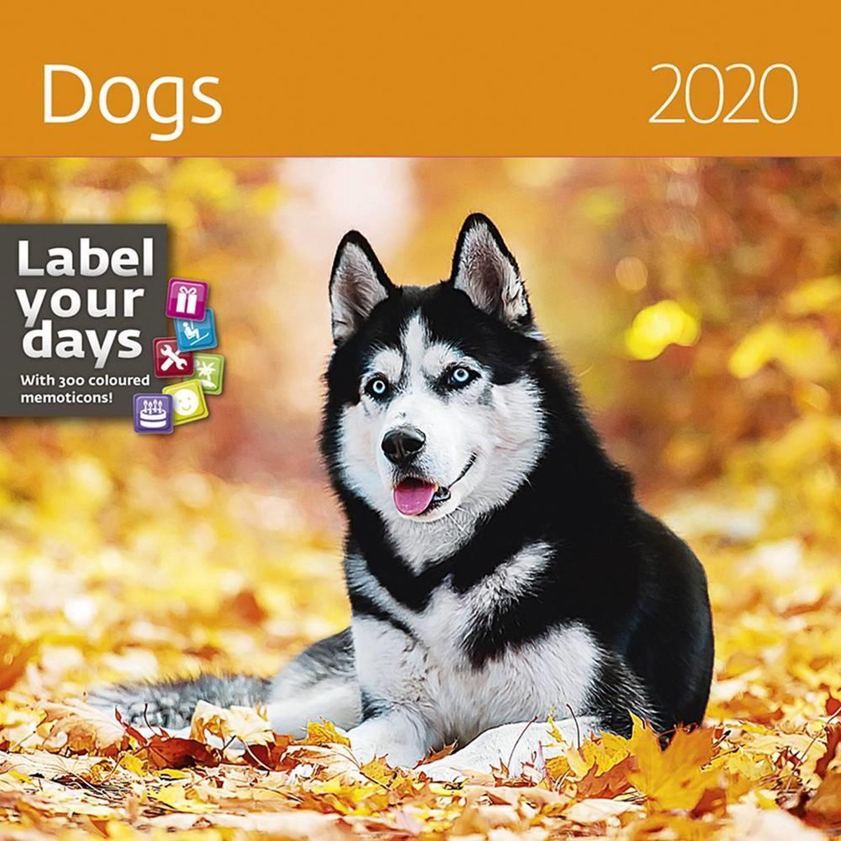Honden - Dogs Kalender 2020