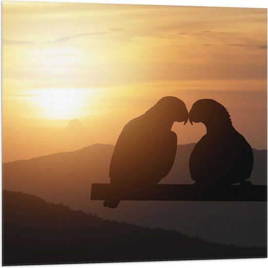 Vlag - Silhouet van Verliefd Duivenkoppel tijdens Zonsondergang - 80x80 cm Foto op Polyester Vlag