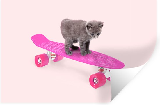 Muurstickers - Sticker Folie - Poes - Kitten - Dieren - Skateboard - Roze - 120x80 cm - Plakfolie - Muurstickers Kinderkamer - Zelfklevend Behang - Zelfklevend behangpapier - Stickerfolie