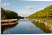 Dibond - Smalle Rivier stromend door Nederlandse Bossen - 75x50 cm Foto op Aluminium (Wanddecoratie van metaal)