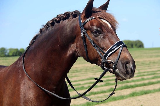 Covalliero Classic lederen Jodhpur zwart