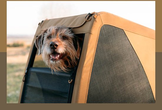Croozer Dog Mikke Hondenfietskar - XL Zonsonderganggeel van Croozer — afbeelding 5