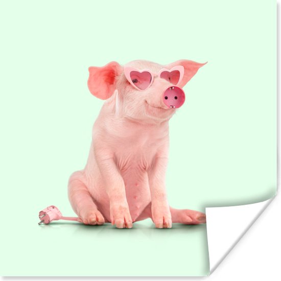 Poster Varken Roze Bril Stopcontact Dieren 50x50 Cm 