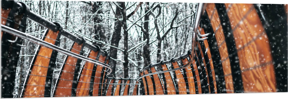 Acrylglas - Hekwerk in Ondergesneeuwd Bos - 150x50 cm Foto op Acrylglas (Wanddecoratie op