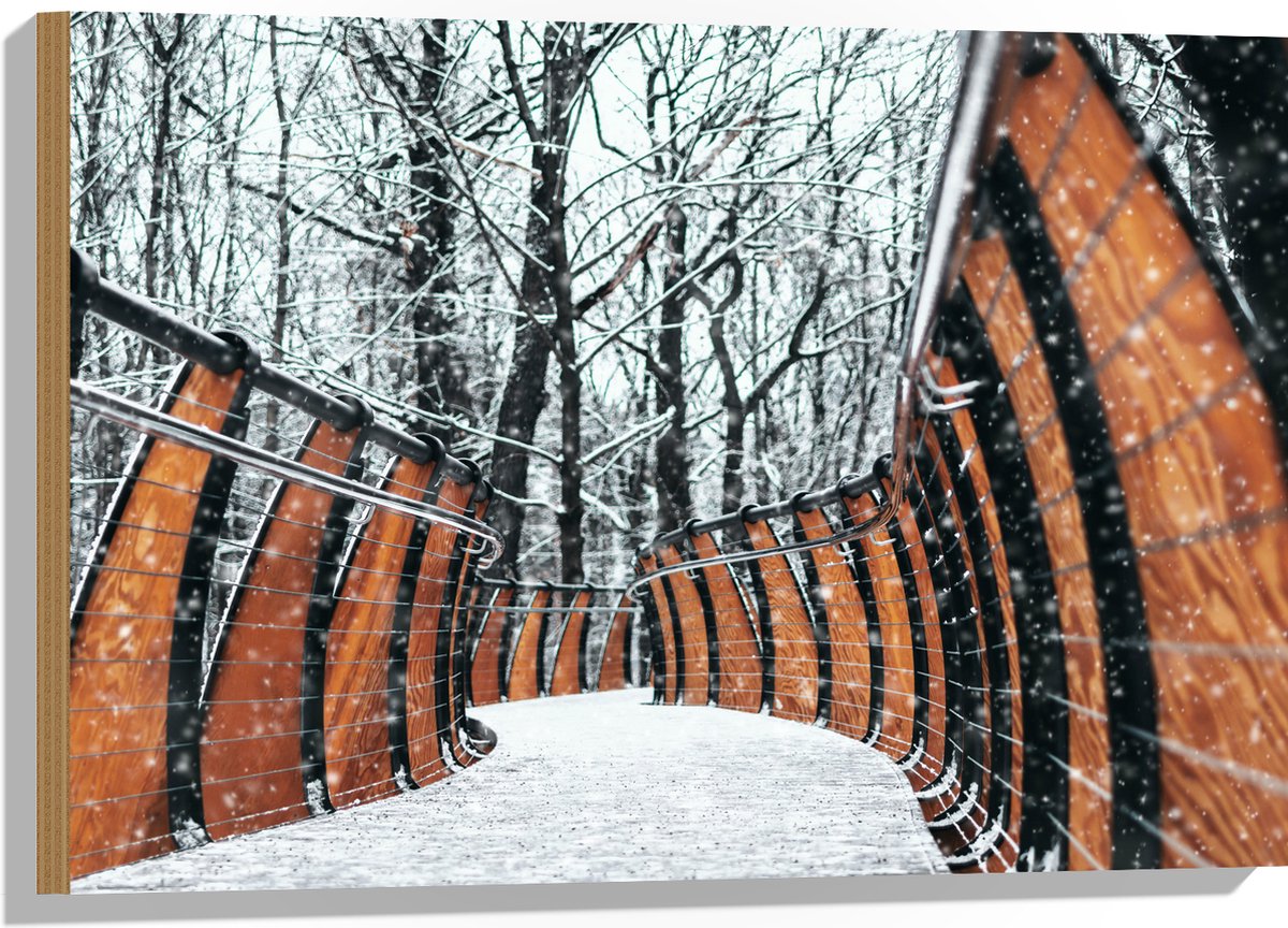 Hout - Hekwerk in Ondergesneeuwd Bos - 75x50 cm - 9 mm dik - Foto op Hout (Met Ophangsyste