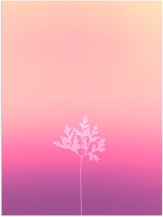 Poster Glanzend – Wit Silhouet van Blad aan Tak tegen Achtergrond in Roze Tinten - 60x80 cm Foto op Posterpapier met Glanzende Afwerking