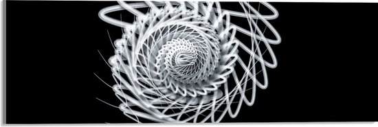 Acrylglas - Wit Slakvormig Object tegen Zwarte Achtergrond - 60x20 cm Foto op Acrylglas (Met Ophangsysteem)
