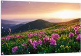 Tuinposter – Roze Bloemen op de Bergen van Landschap tijdens Zonsopkomst - 150x100 cm Foto op Tuinposter (wanddecoratie voor buiten en binnen)