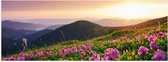 Poster (Mat) - Roze Bloemen op de Bergen van Landschap tijdens Zonsopkomst - 60x20 cm Foto op Posterpapier met een Matte look