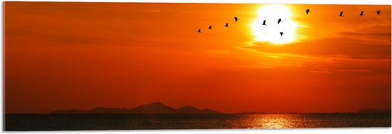 Acrylglas - Silhouet van Zwerm Vogels bij Zonsondergang boven de Zee - 90x30 cm Foto op Acrylglas (Wanddecoratie op Acrylaat)