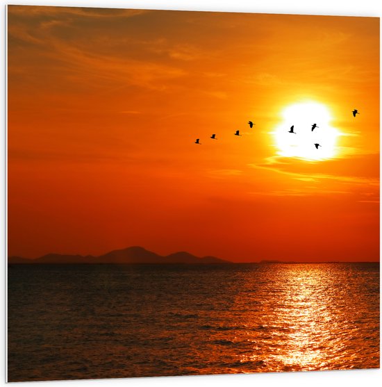 PVC Schuimplaat- Silhouet van Zwerm Vogels bij Zonsondergang boven de Zee - 100x100 cm Foto op PVC Schuimplaat