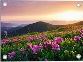 Tuinposter – Roze Bloemen op de Bergen van Landschap tijdens Zonsopkomst - 40x30 cm Foto op Tuinposter (wanddecoratie voor buiten en binnen)