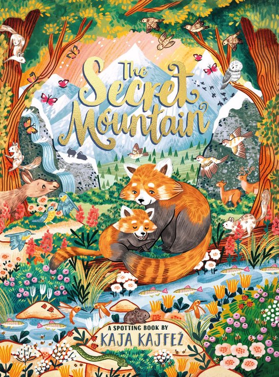 The Secret Mountain - cover