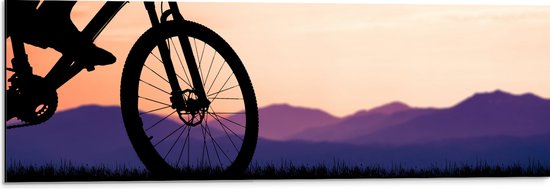 Dibond - Silhouet van Persoon op Mountainbike Fietsend door Berggebied - 90x30 cm Foto op Aluminium (Met Ophangsysteem)