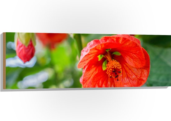 Hout - Rode Bloeiende Bloemen aan Struik - 120x40 cm - 9 mm dik - Foto op Hout (Met Ophangsysteem)