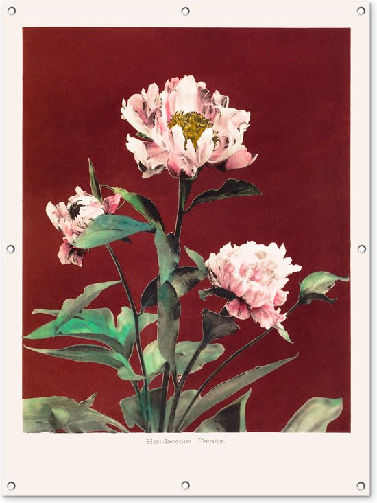 Tuinposter - Tuindoek - Tuinposters buiten - Bloemen - Planten - Kleuren - Rood - Vintage - 90x120 cm - Tuin