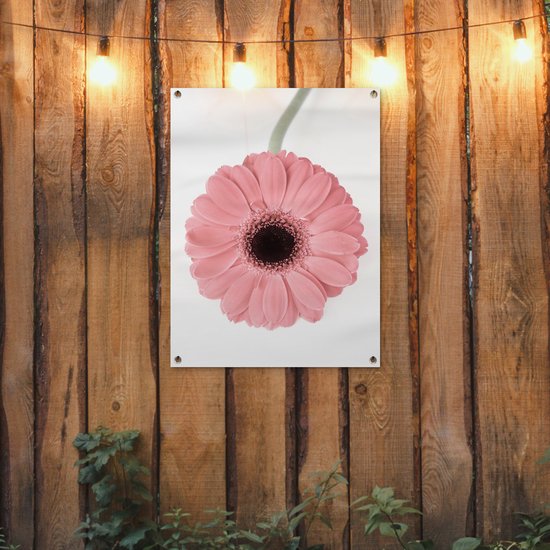 Tableau de jardin Bloem - Rose - Nature - Plante - 60x80 cm - Affiche de jardin - Toile de jardin - Affiche d'extérieur
